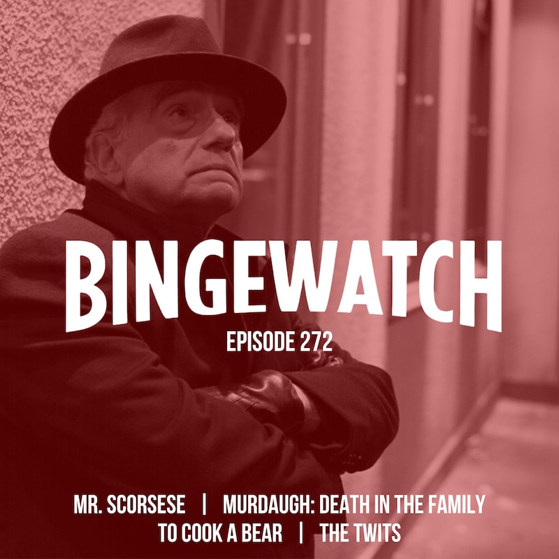Artwork for podcast Bingewatch