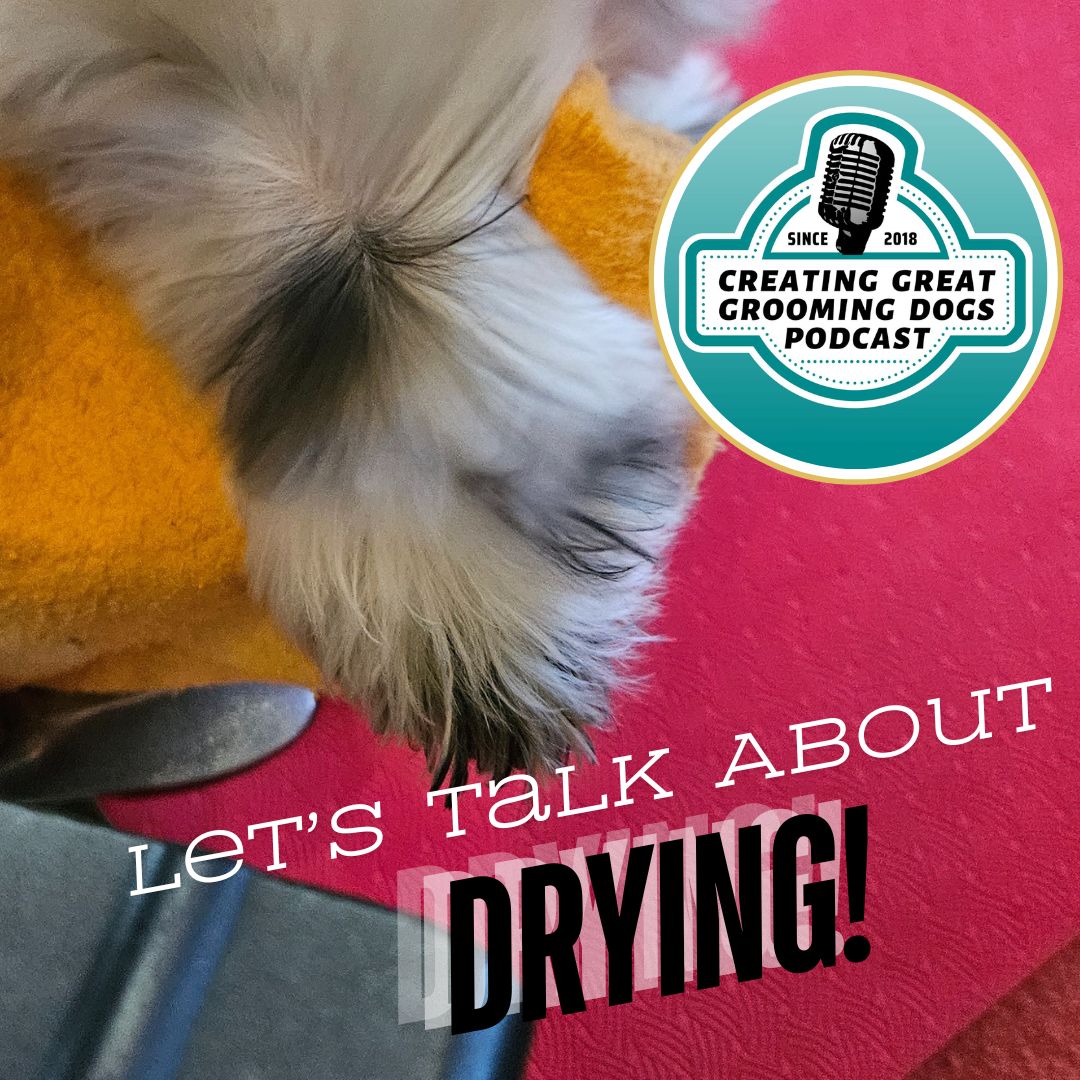 Let's Talk About Drying Ep199