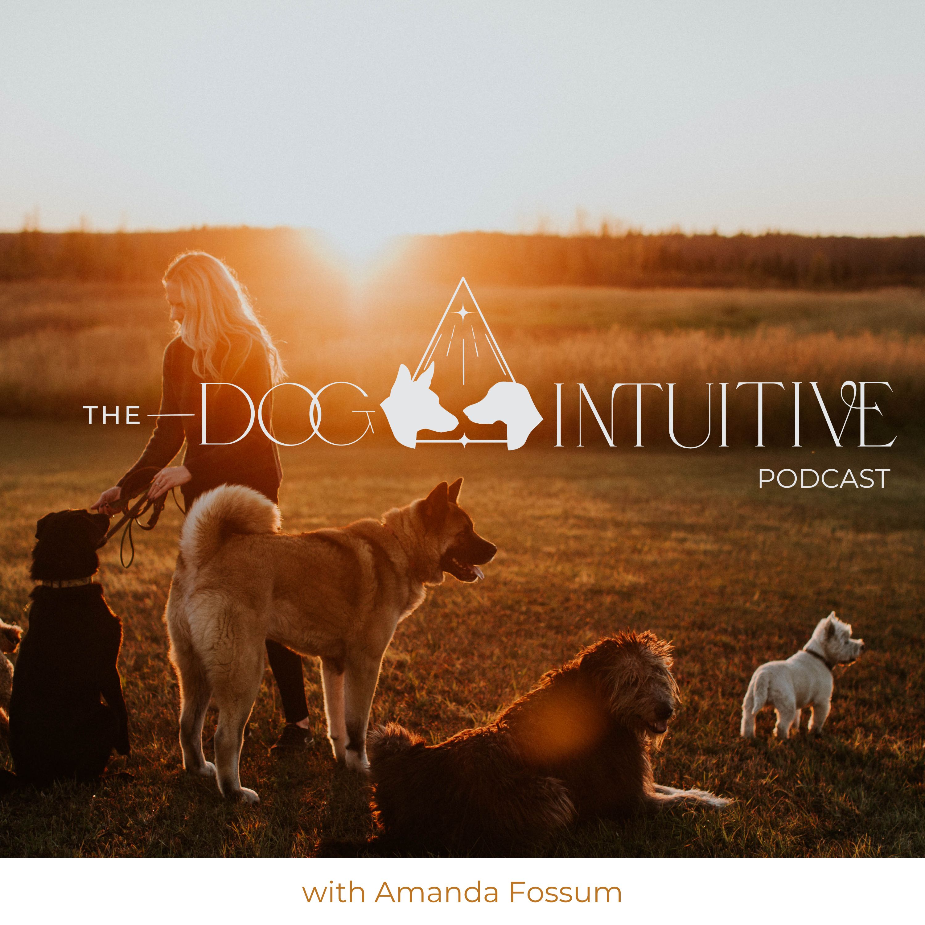 Artwork for The Dog Intuitive Podcast - Giving Your Dog a Voice Using Dog Psychology and Magic