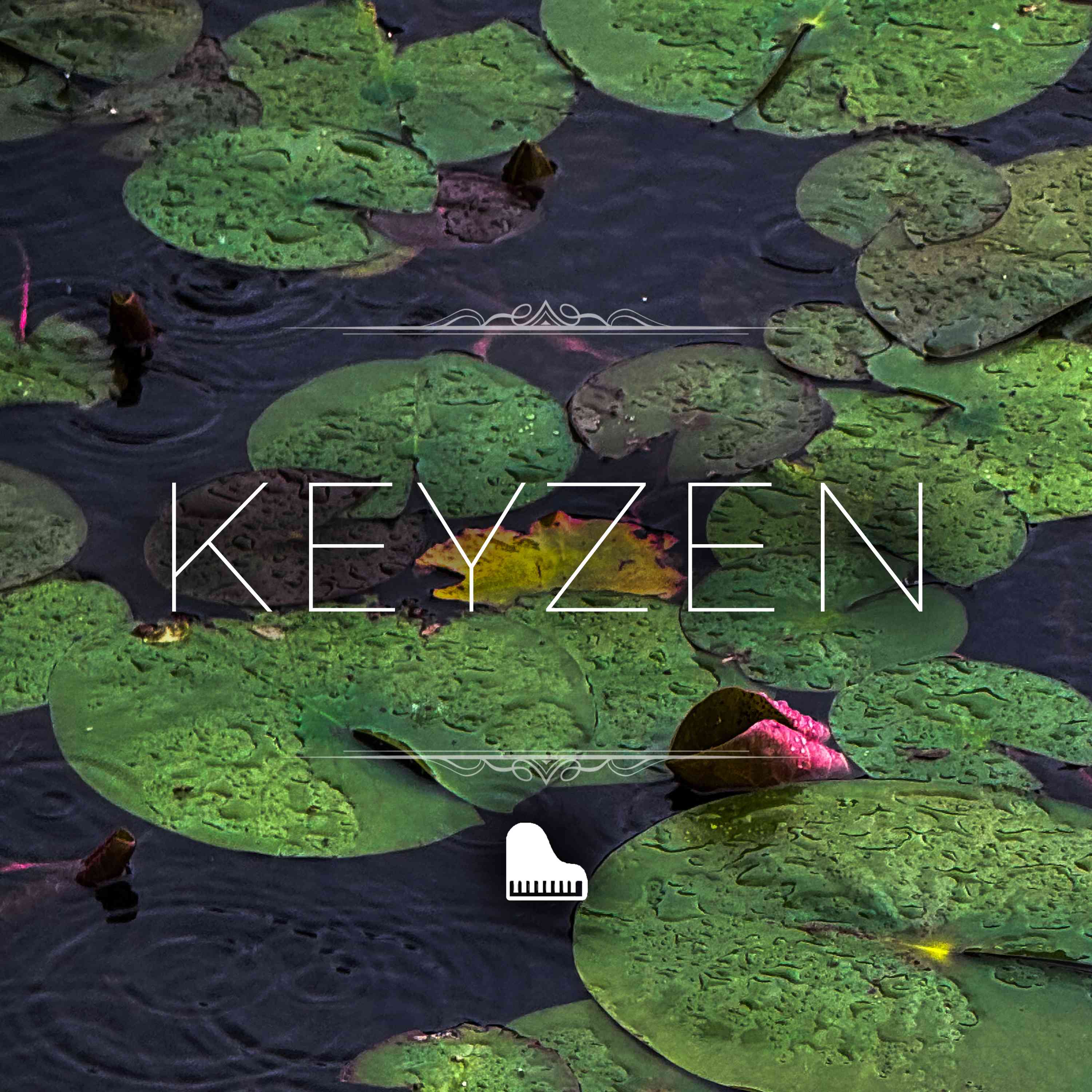 Quiet Piano for Stress Relief with Gray Treefrogs - 2 Hours - "California Queen" episode artwork
