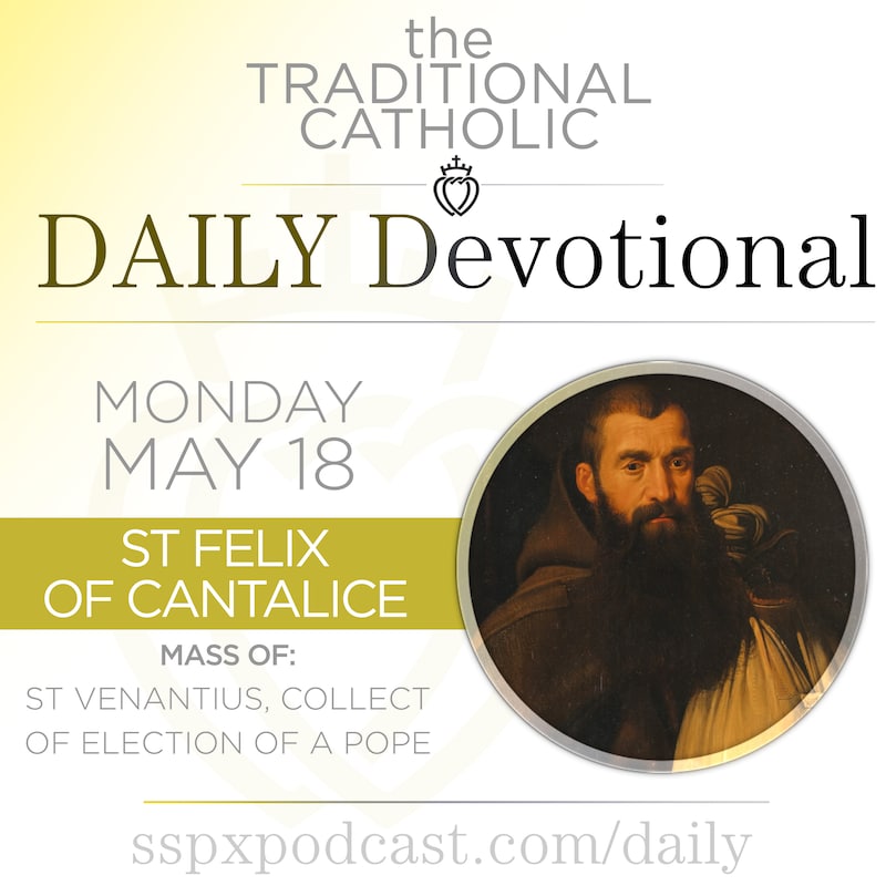 Artwork for podcast Traditional Catholic Daily Devotional
