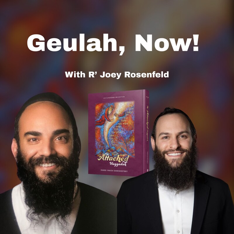 Artwork for podcast The Attached Life