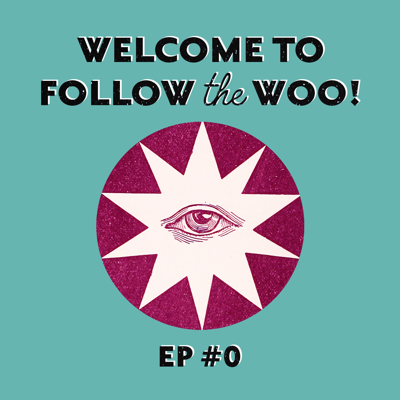 Artwork for podcast Follow the Woo