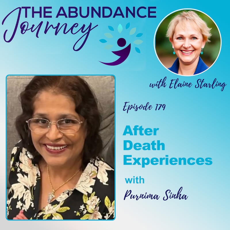 Artwork for podcast The Abundance Journey: Accelerating Revenue With An Abundance Mindset