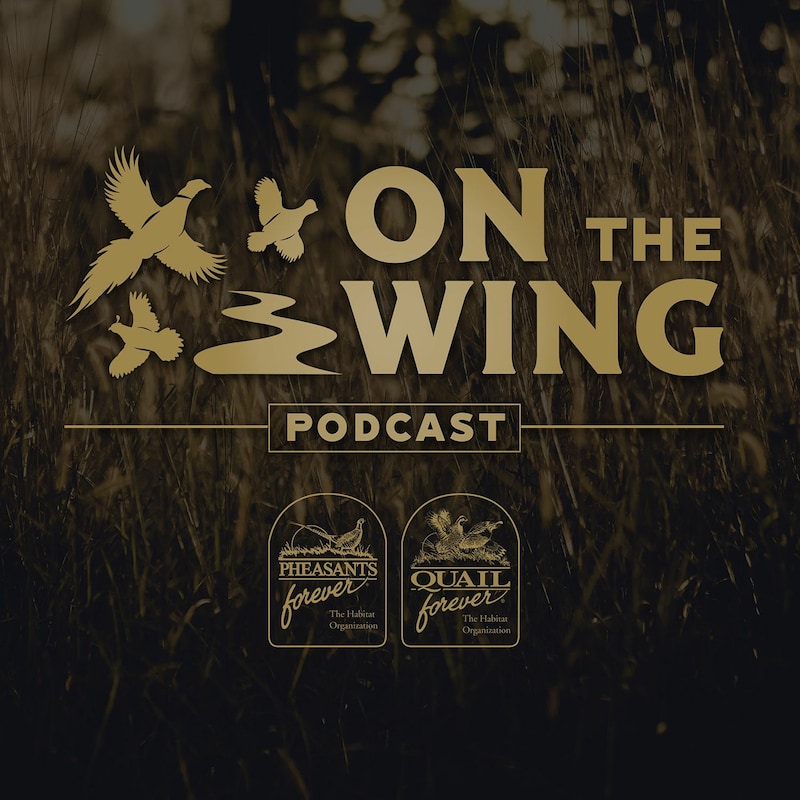 Artwork for podcast On The Wing Podcast