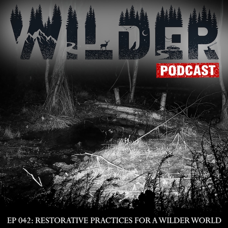 Artwork for podcast Wilder Podcast