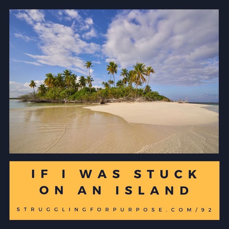 Artwork for podcast Struggling for Purpose