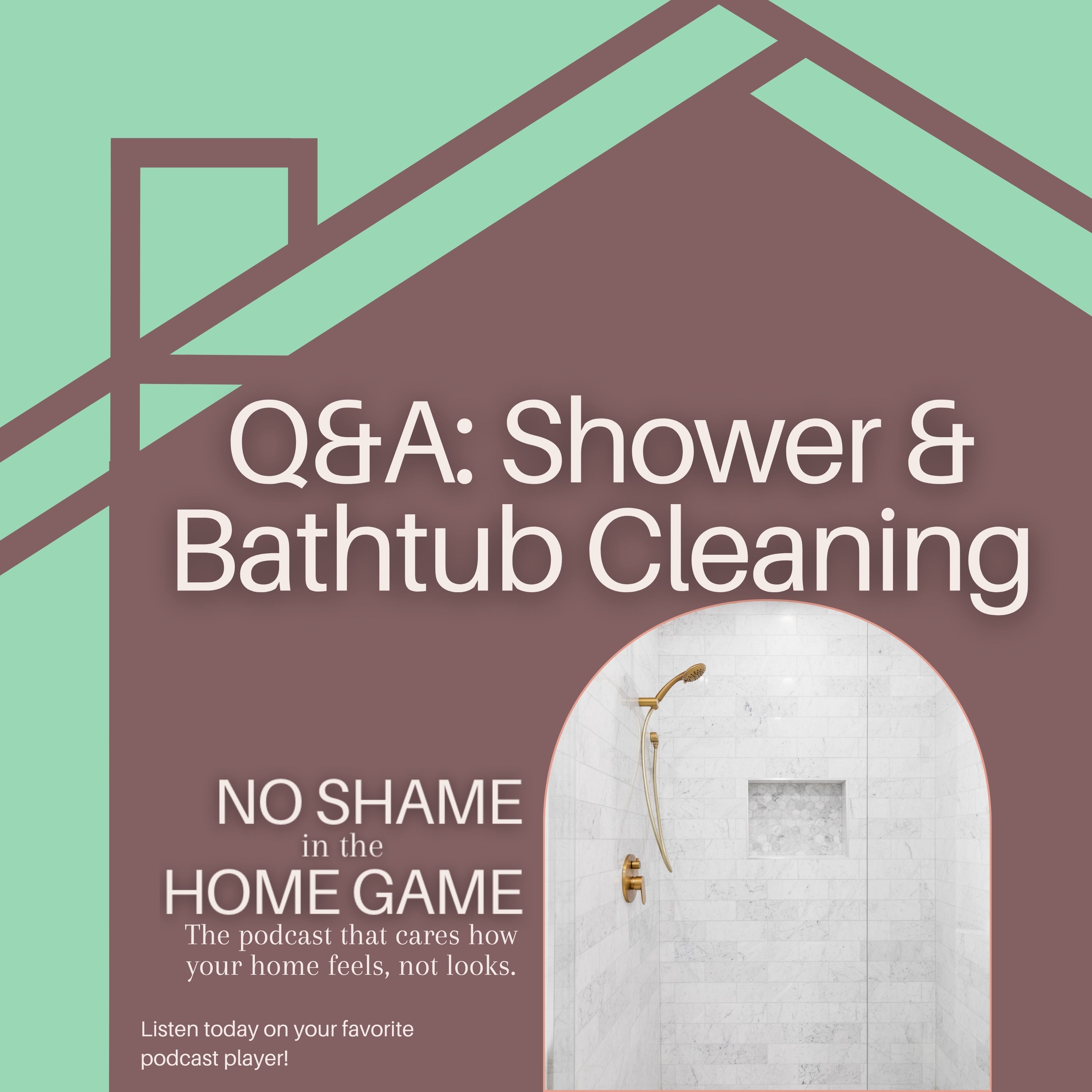 Artwork for No Shame in Our Game
