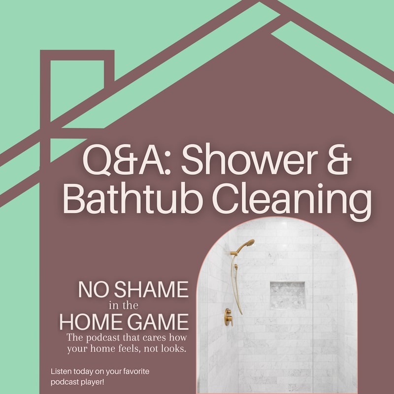 Artwork for podcast No Shame in Our Game