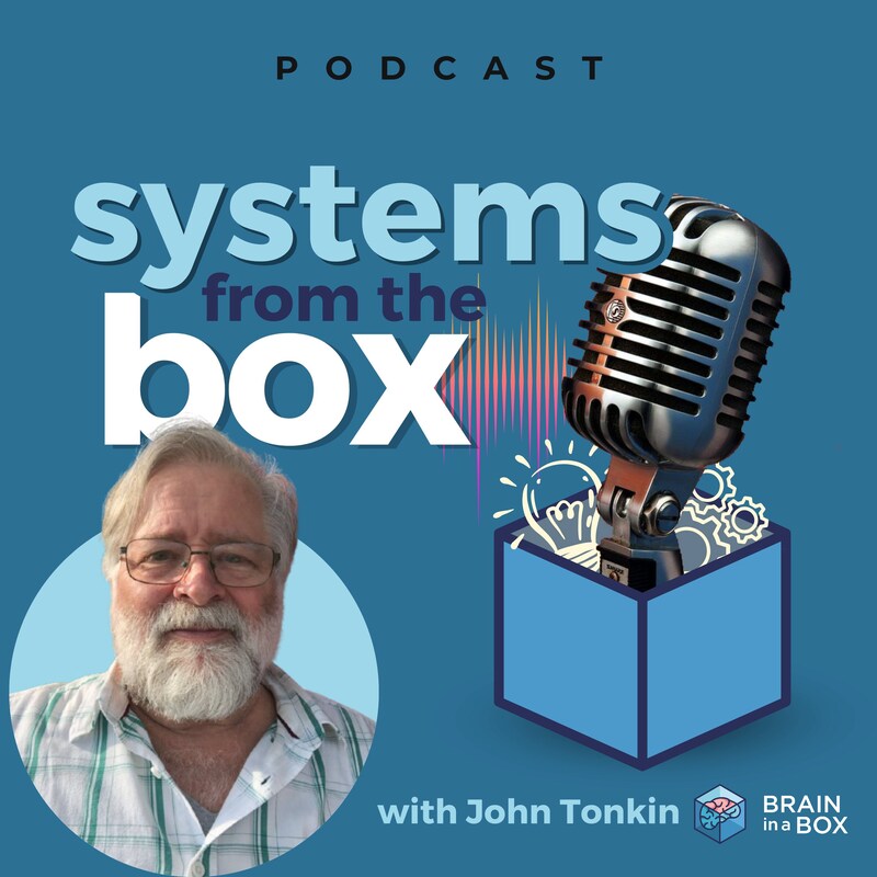 Artwork for podcast Systems from the Box