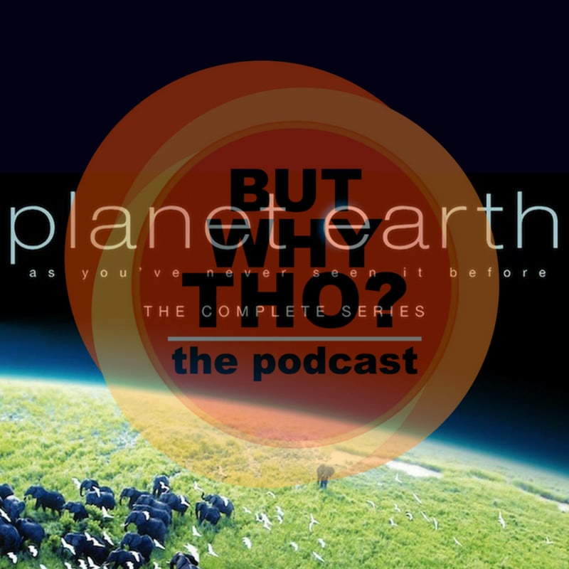 Artwork for podcast But Why Tho?