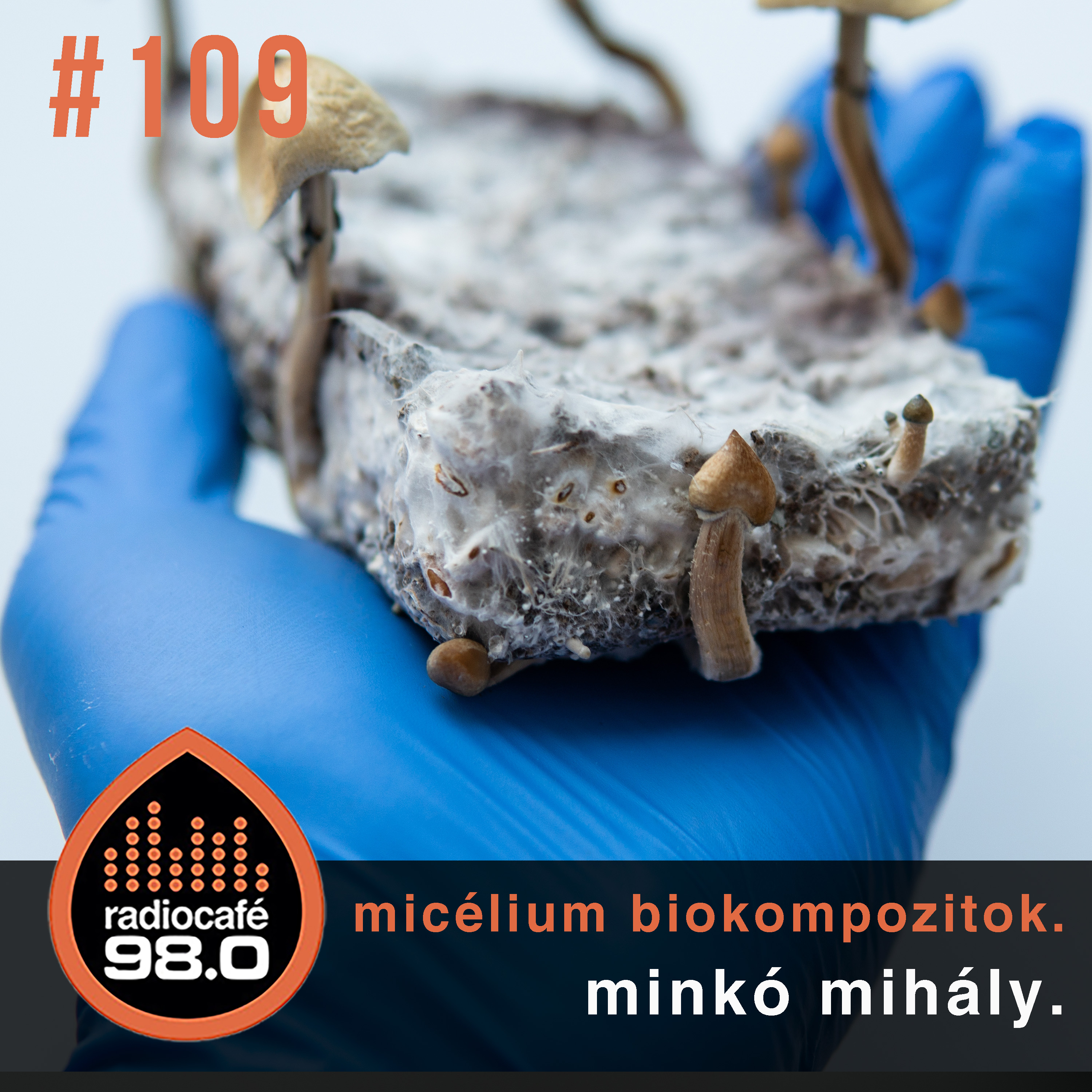 #109 - Minkó Mihály, a micélium biokompozitok episode artwork