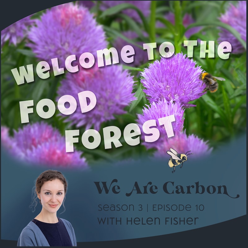 Artwork for podcast We Are Carbon