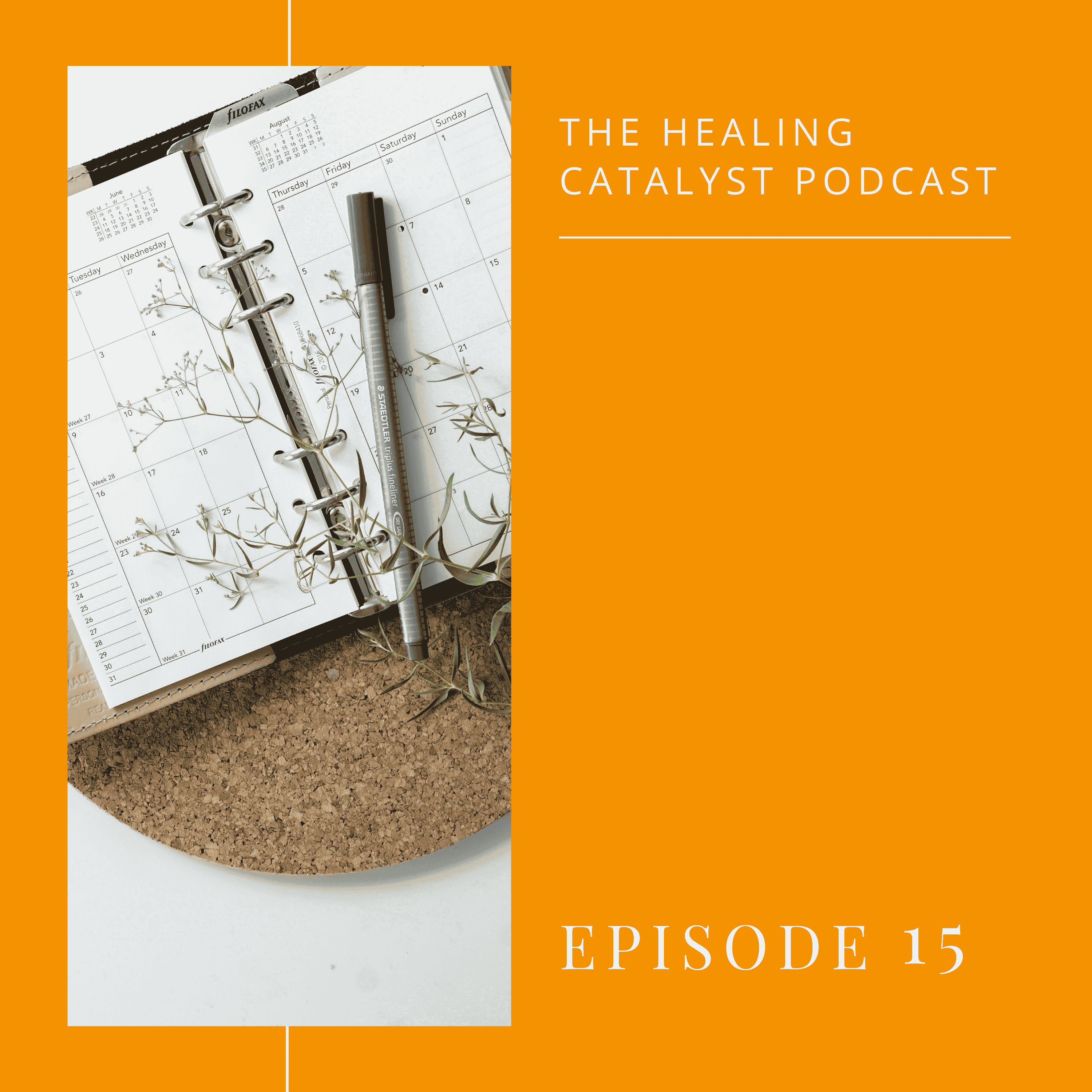 The Science of Habits and Helping Addiction episode artwork
