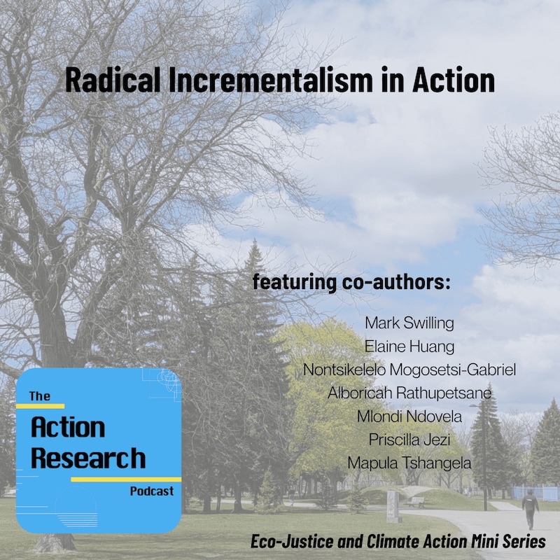 Artwork for podcast The Action Research Podcast