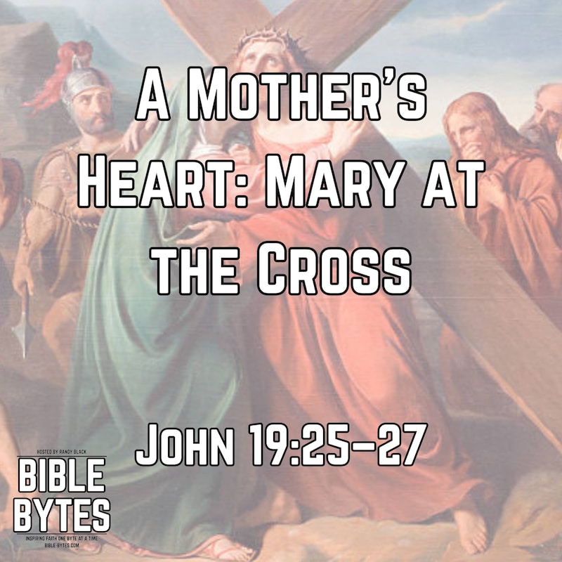 Artwork for podcast Bible Bytes