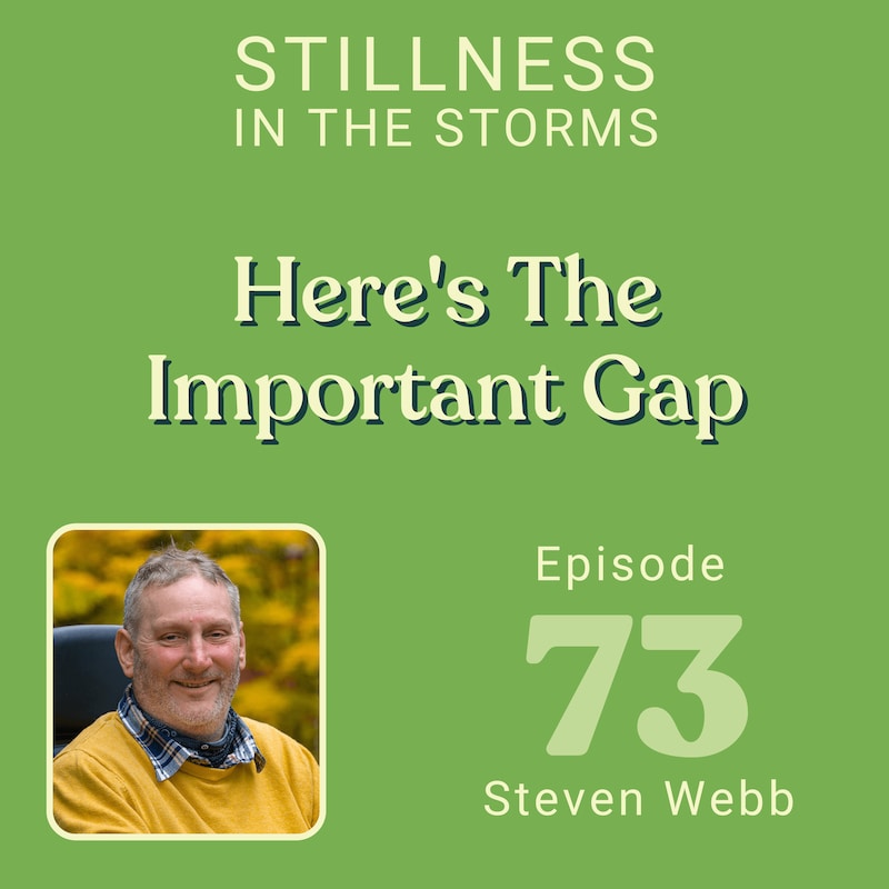 Artwork for podcast Stillness in the Storms