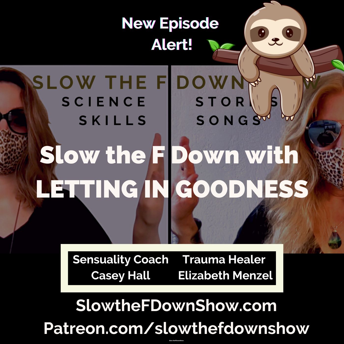 Artwork for podcast 🐌 Slow the F Down Show 🐢