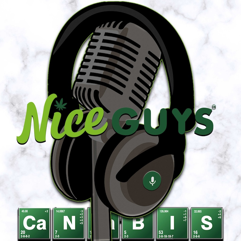 Artwork for podcast Nice Guys Delivery