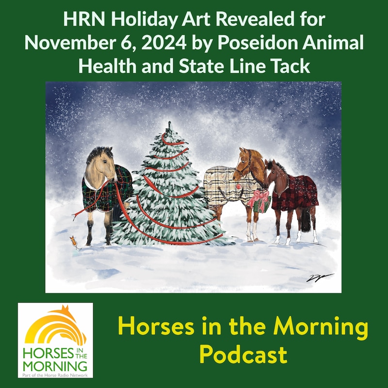 Artwork for podcast Horses in the Morning