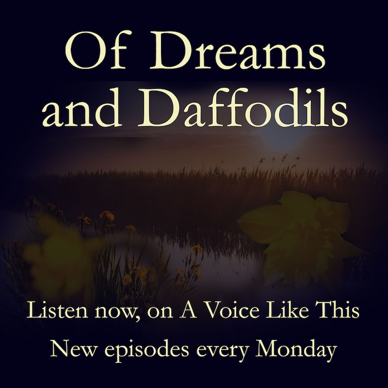 Artwork for podcast A Voice Like This