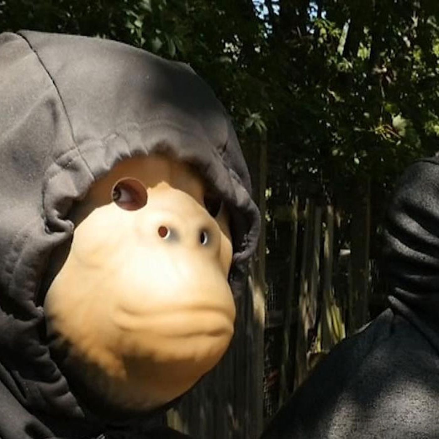 Gang Violence In London