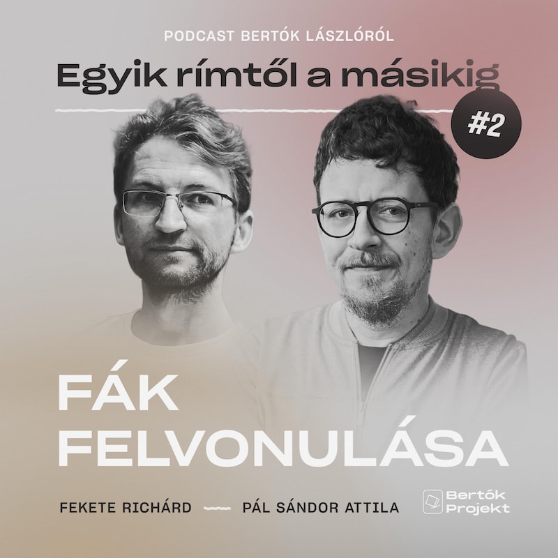 Artwork for podcast Egyik rímtől a másikig