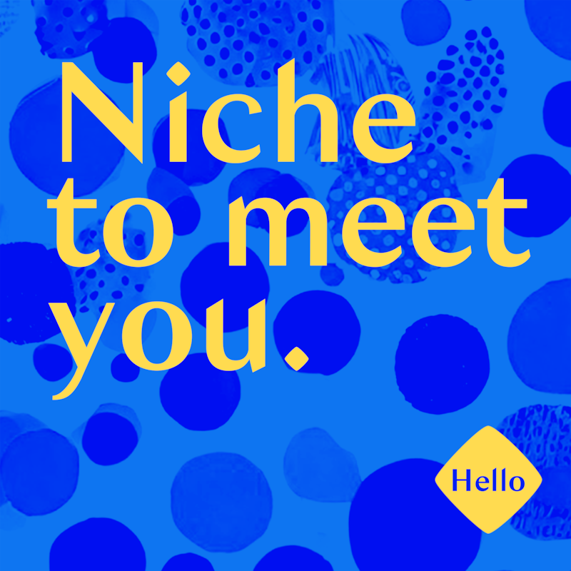 Artwork for podcast Niche to Meet You