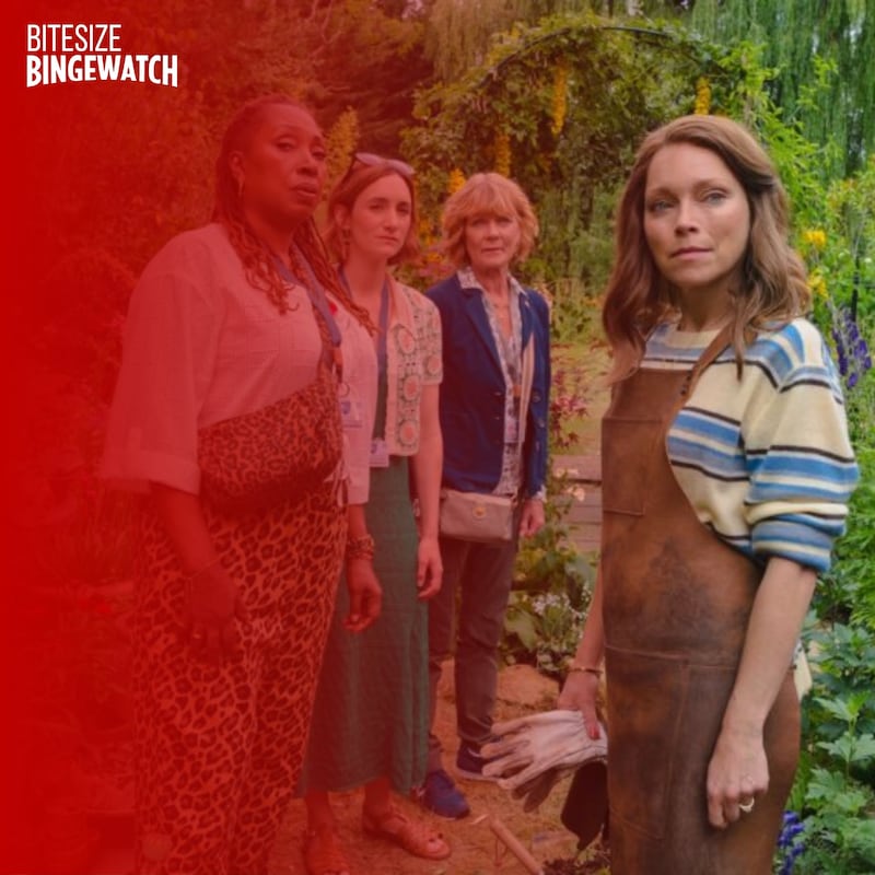 Artwork for podcast Bitesize Bingewatch