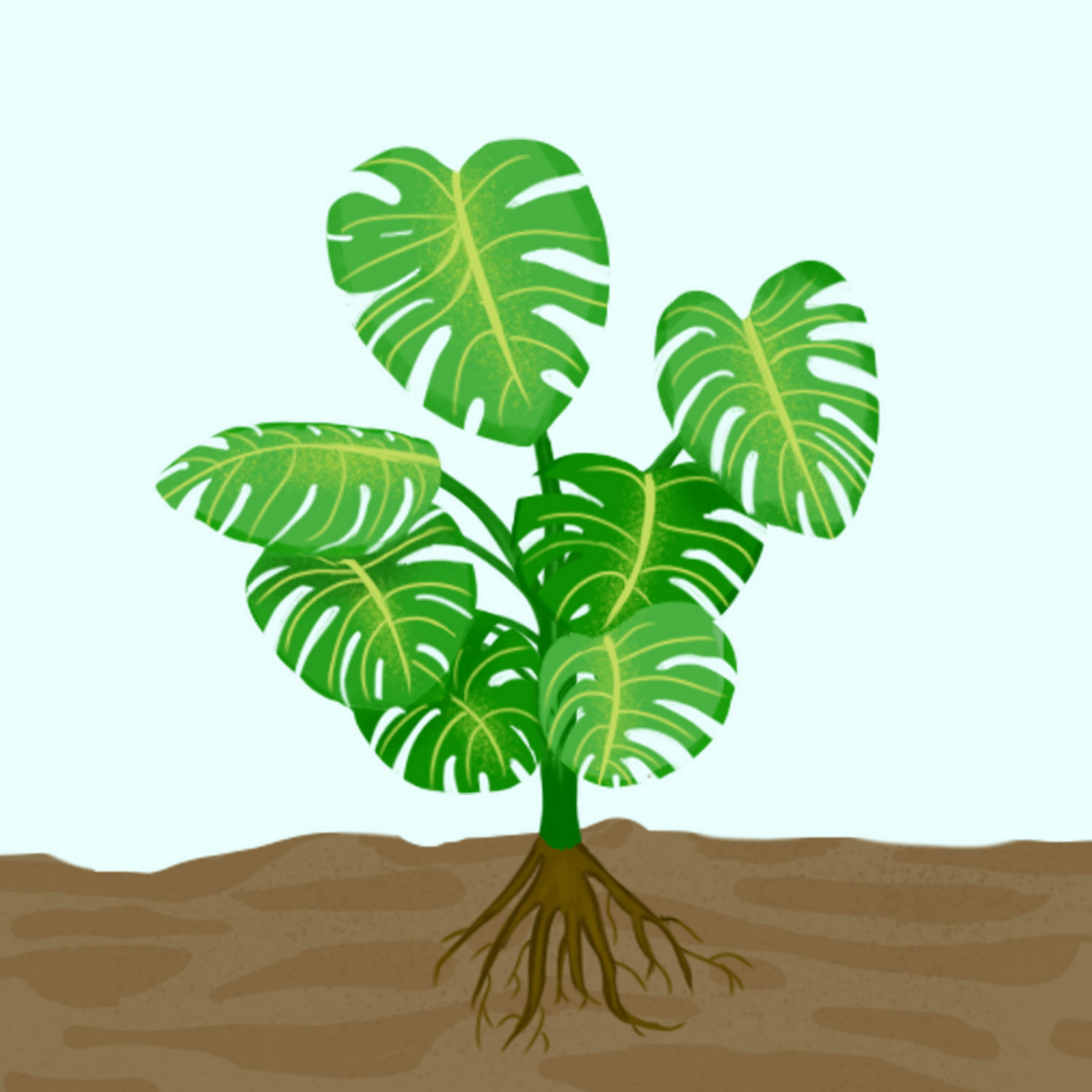 What a Plant Knows: A Captivating Journey into Botanical Intelligence