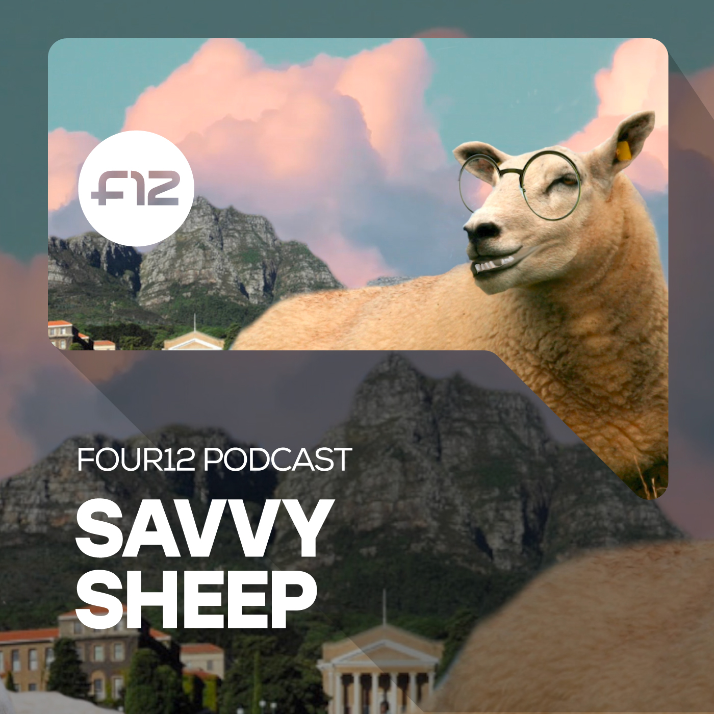 Savvy Sheep | Four12