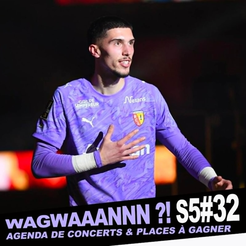 Artwork for podcast WAGWAAANNN ?!