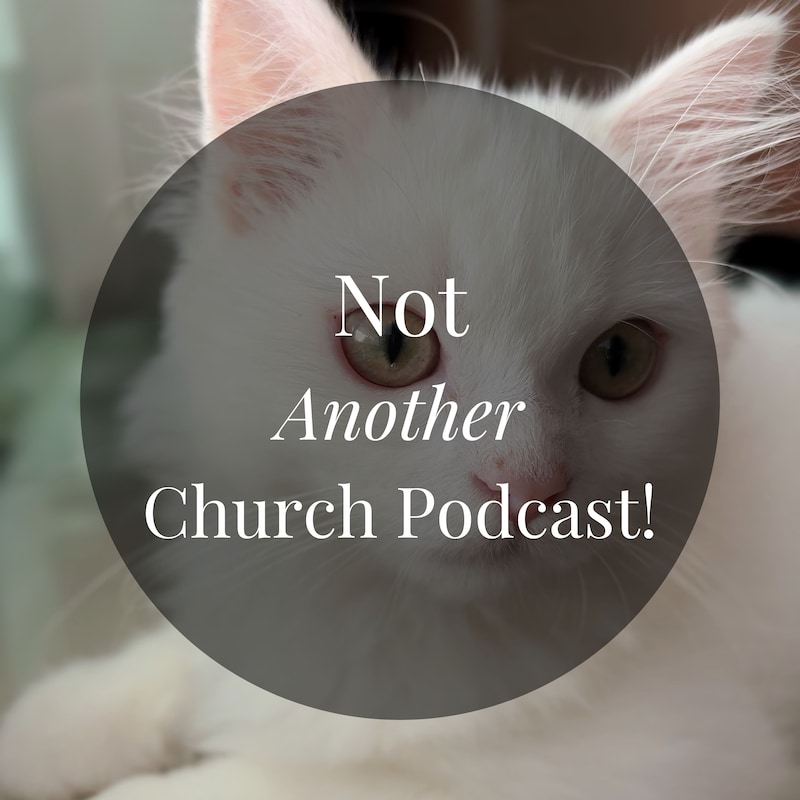 Artwork for podcast Not Another Church Podcast!
