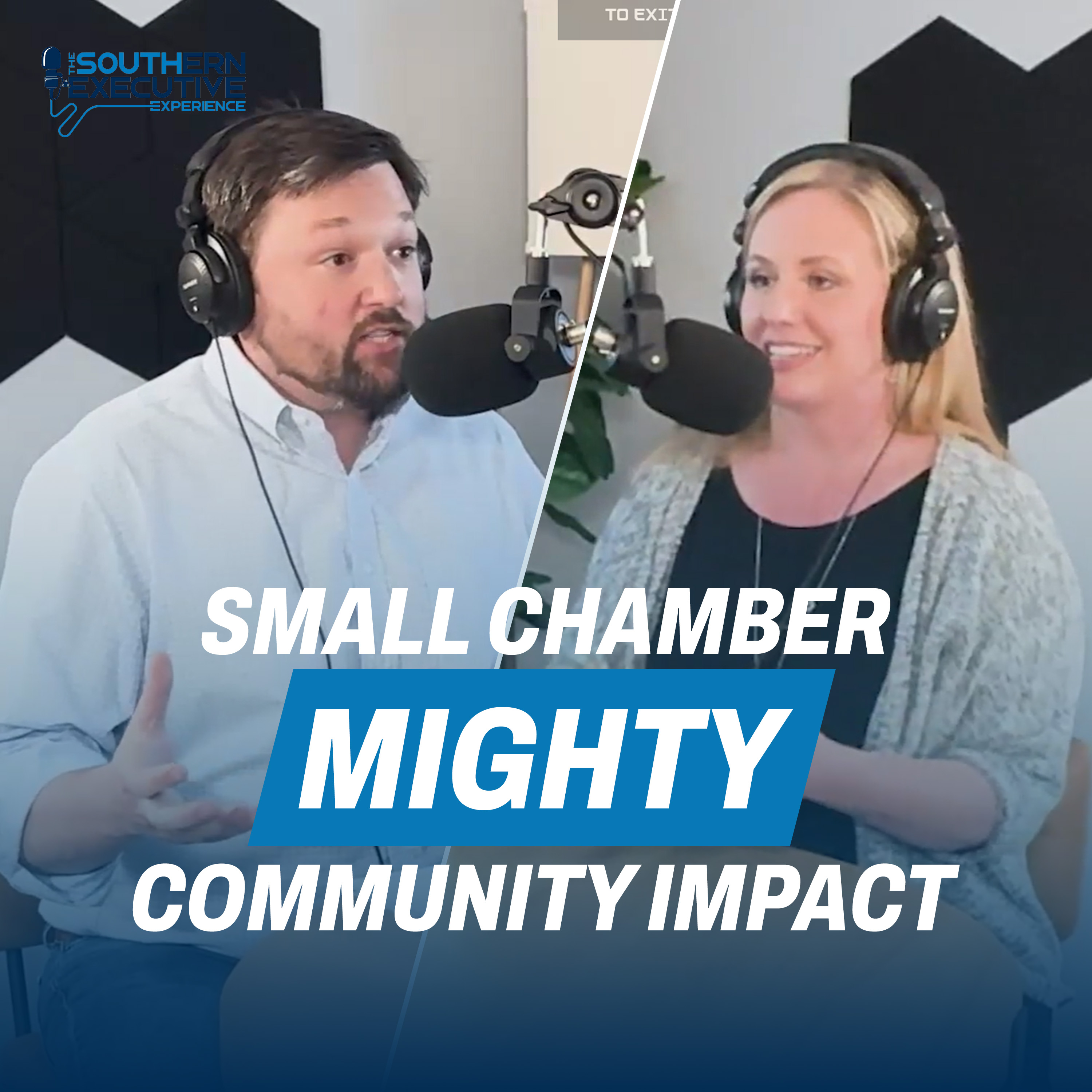 Episode #14 Kat Hoyt, Director of the Darien Chamber of Commerce episode artwork