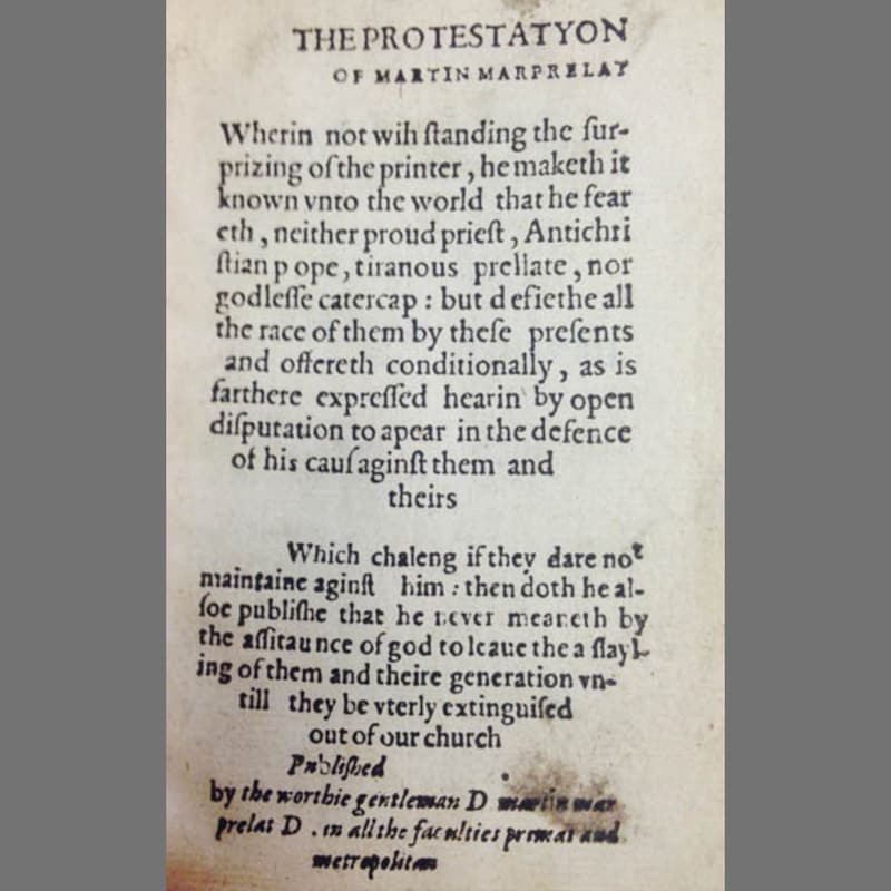 Artwork for podcast The Rise of the Protestants