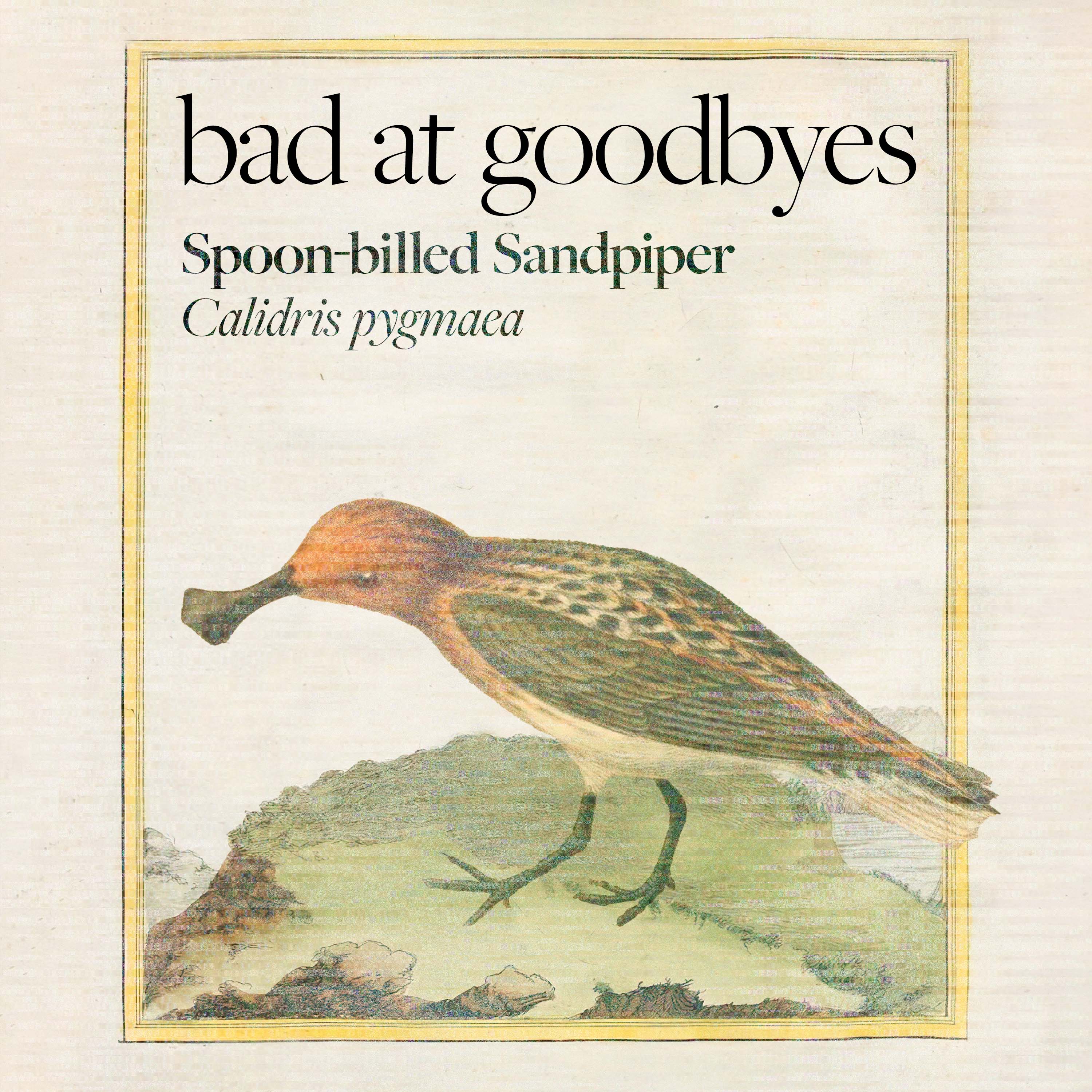 Bad at Goodbyes