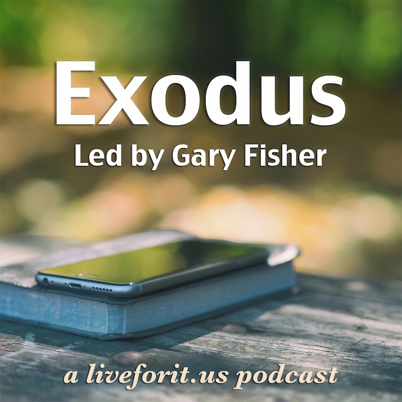 Artwork for podcast Liveforit Exodus Study