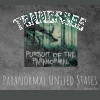 Artwork for podcast Pursuit of the Paranormal