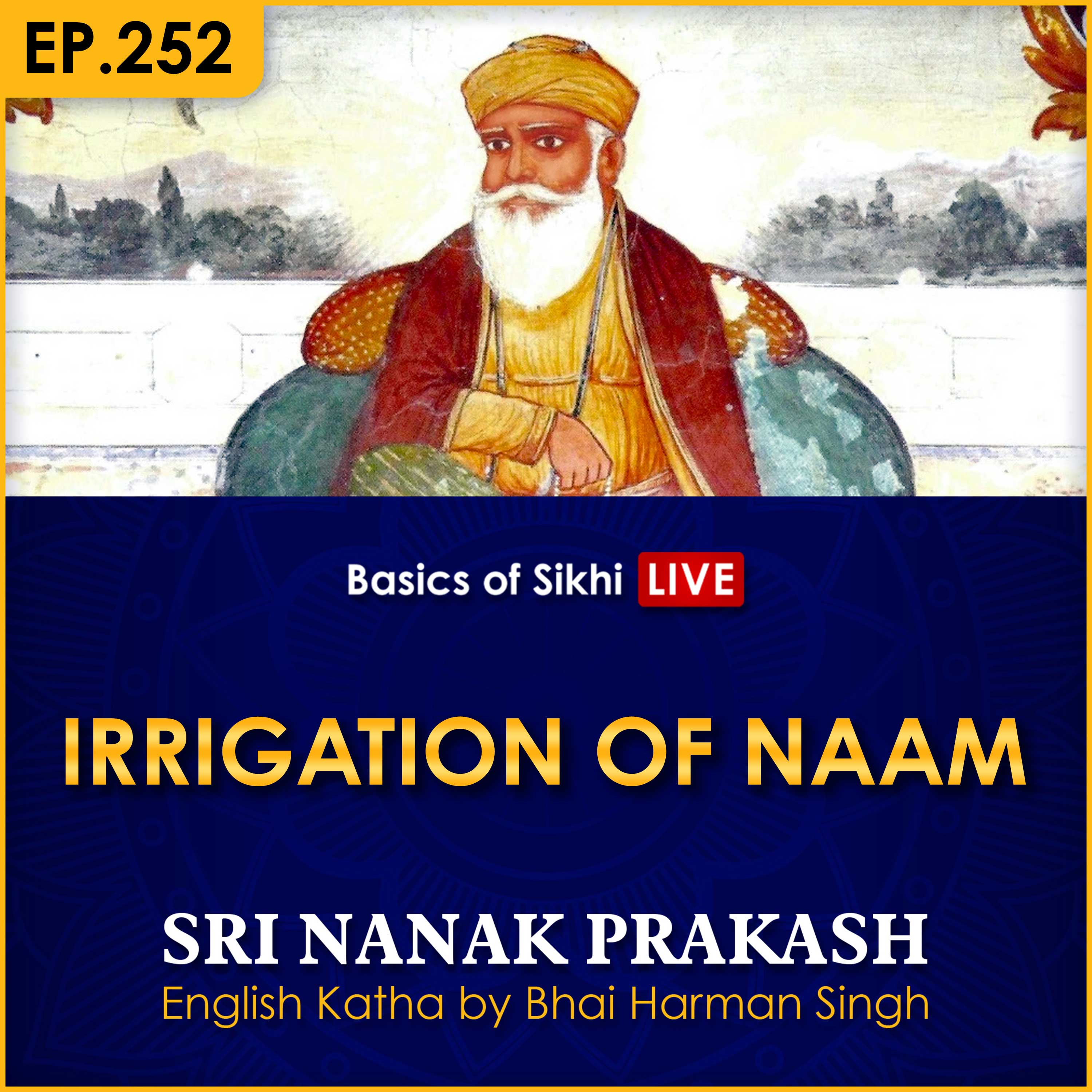 Irrigation of Naam