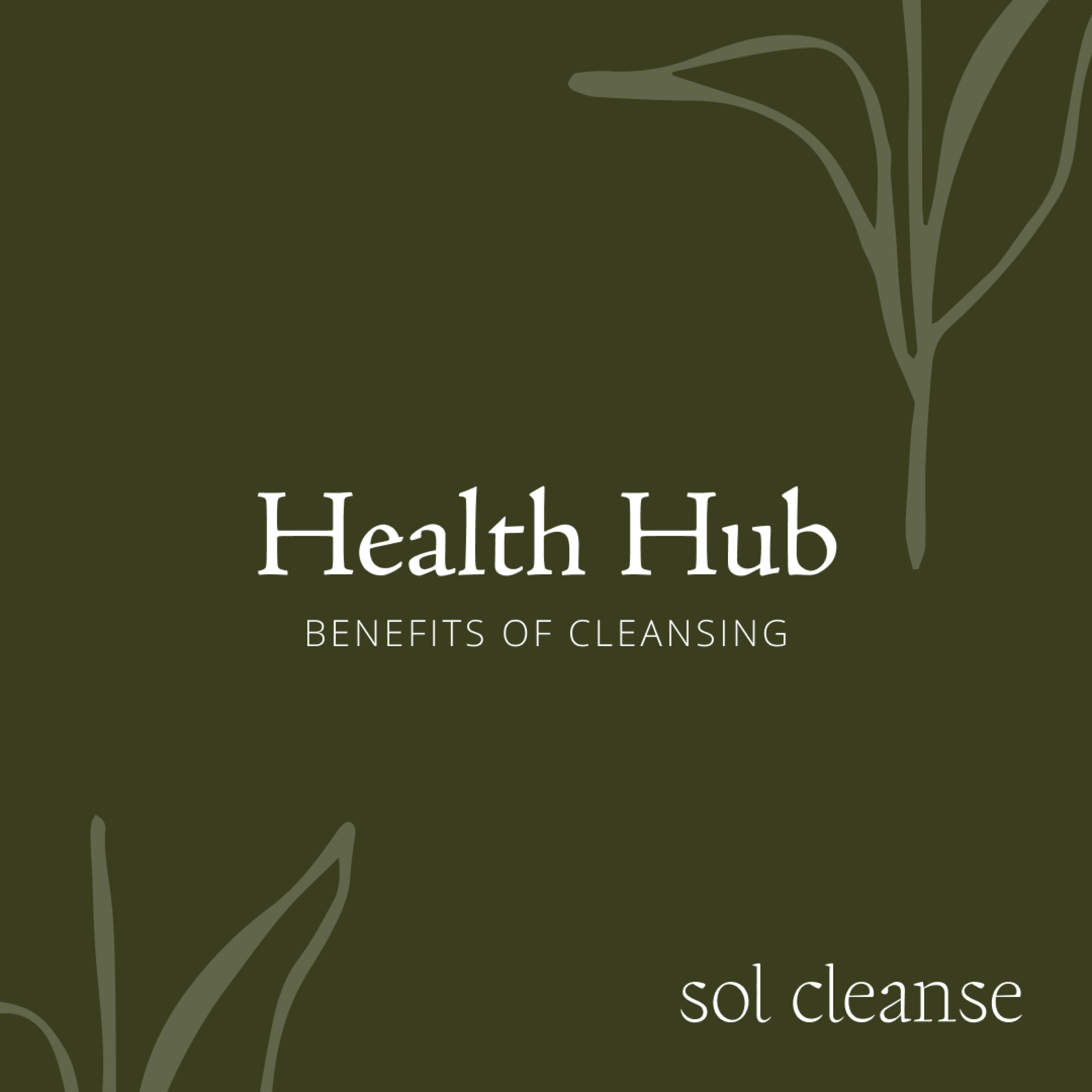 Heath Hub: Benefits of Cleansing
