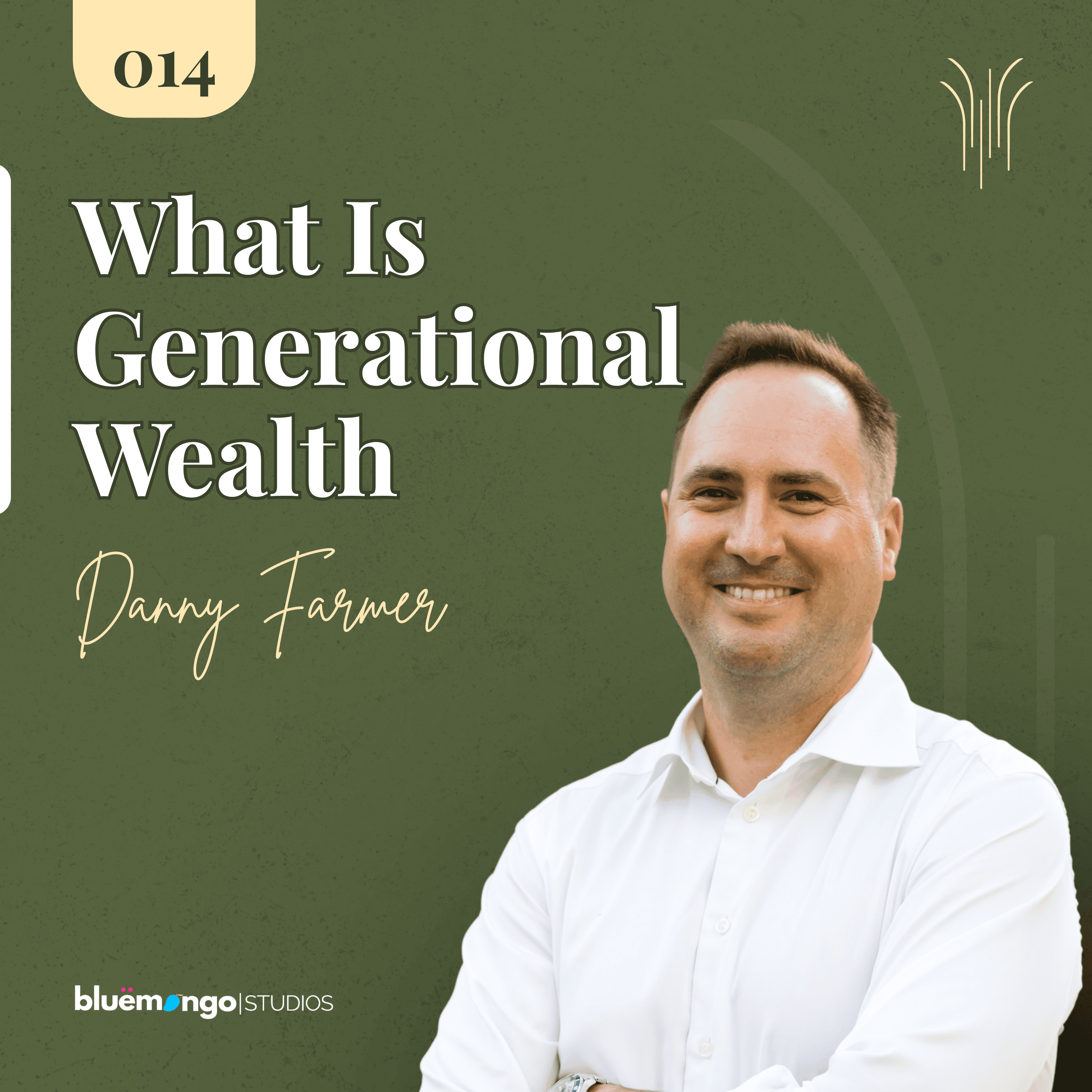 Wealth Dynasty