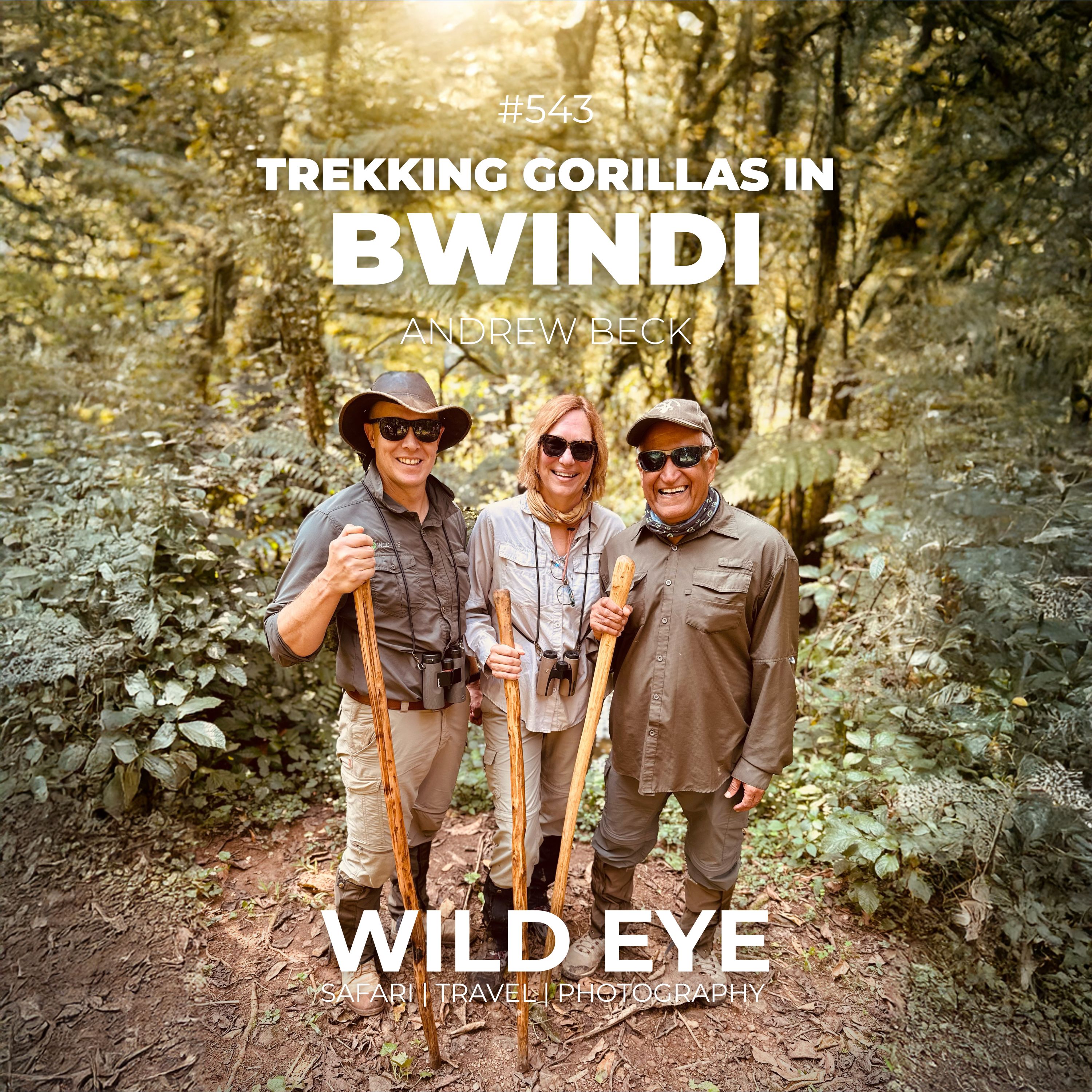 #543 - Trekking Gorillas in Bwindi