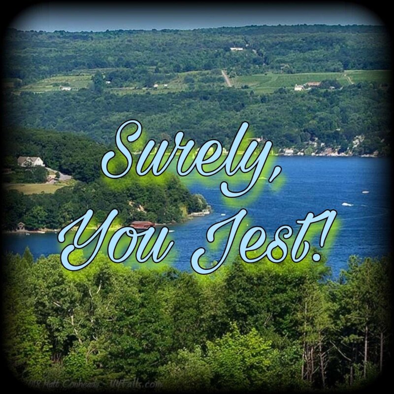Artwork for podcast Surely, You Jest!