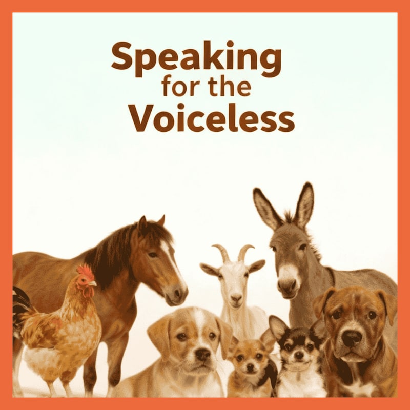 Artwork for podcast Animal Posse