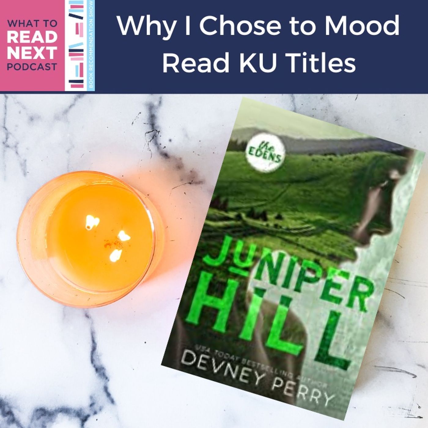 What to Read Next Podcast l Book Recommendation Show