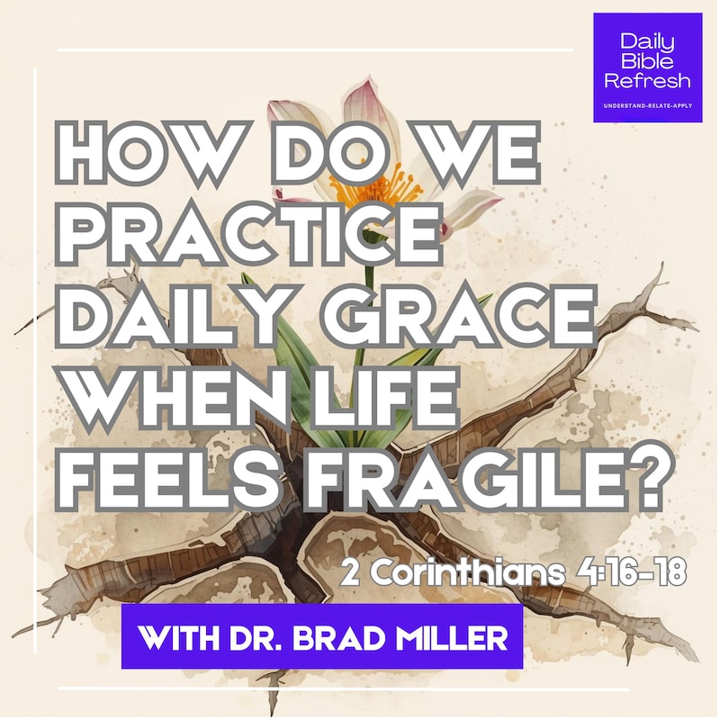 Artwork for podcast Daily Bible Refresh