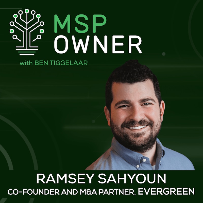 Artwork for podcast MSP Owner