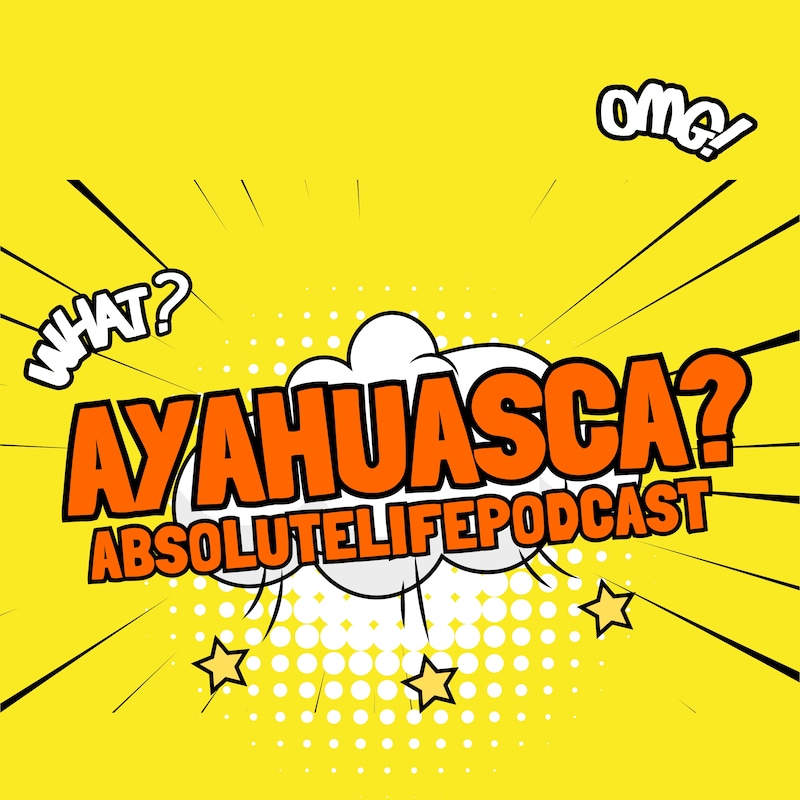 Artwork for podcast The Absolute Life