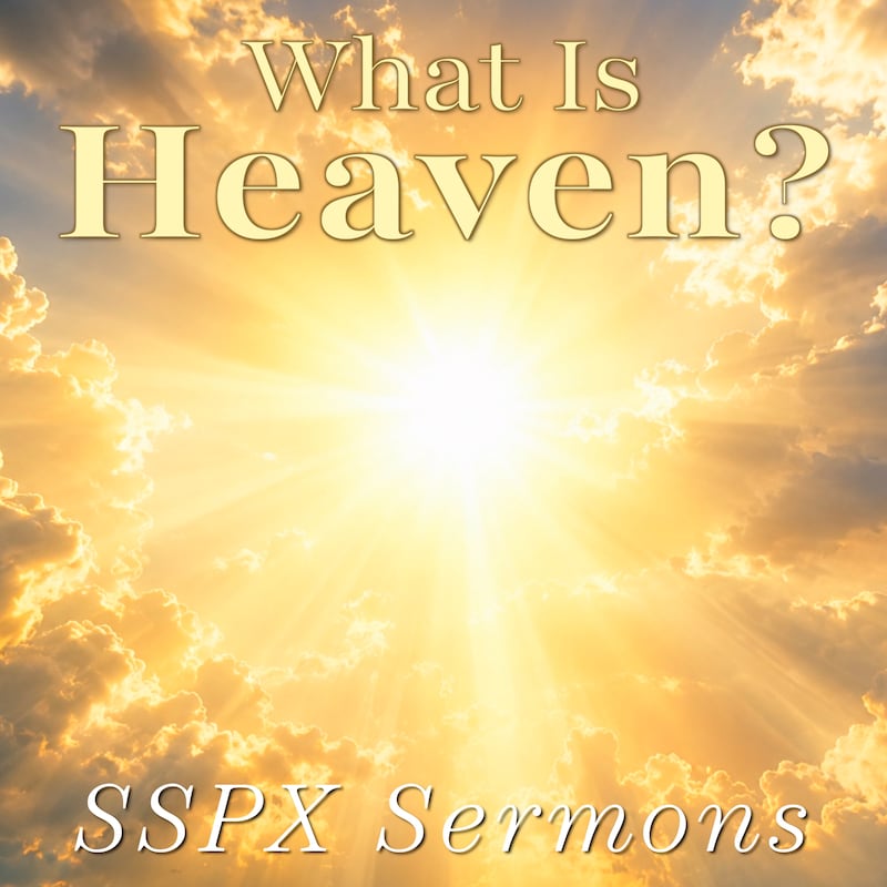 Artwork for podcast SSPX Sermons