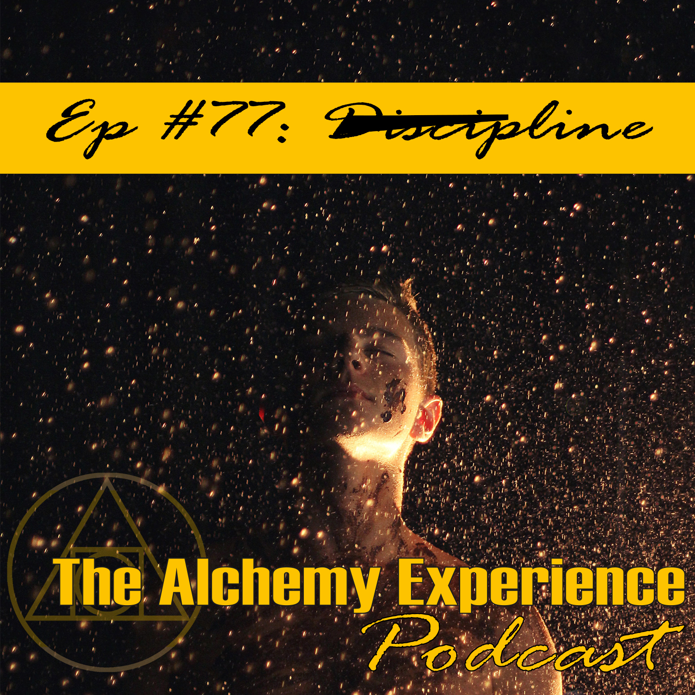 Artwork for podcast The Alchemy Experience